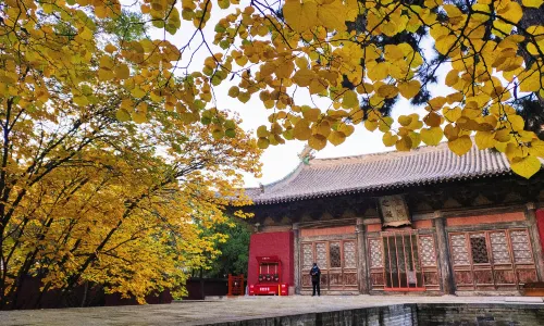 Yongle Palace