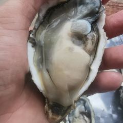 海尚之家海鲜订制餐厅 User Photo