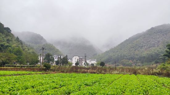 雨中的打鼓岭特别美丽，空气湿润，氧离子含量高，远处雾气腾腾，