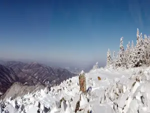 亞布力新體委滑雪場