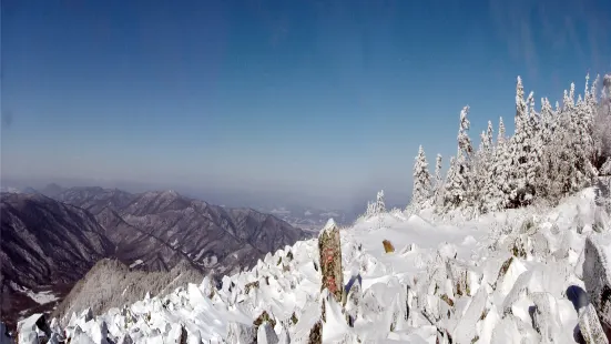 亞布力新體委滑雪場