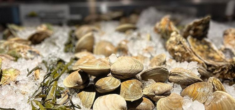 Providence Oyster Bar East Greenwich