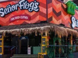 Señor Frog's Cancun