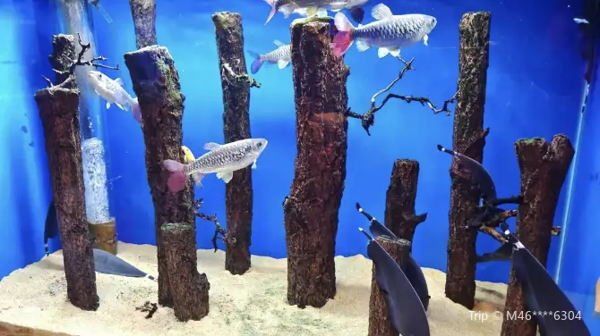1_富地海洋樂園
