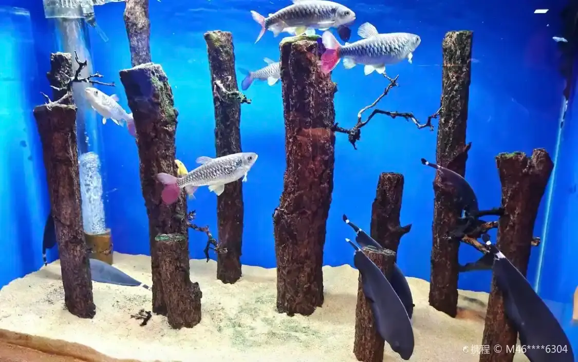 Hotels near Fudi Ocean Park