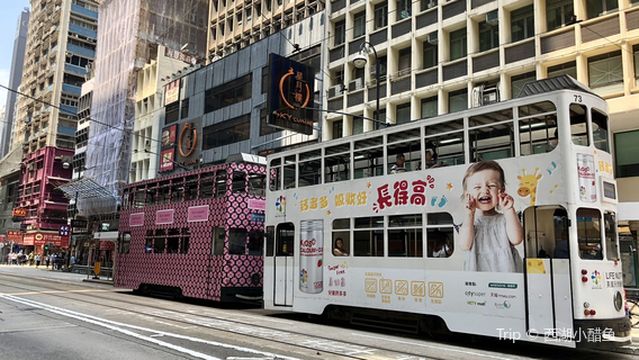 huang hou da dao zhong