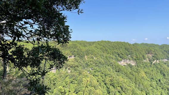 Sanxikou Scenic Area, Cangxi National Forest Park, Sichuan