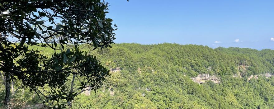 Sanxikou Scenic Area, Cangxi National Forest Park, Sichuan