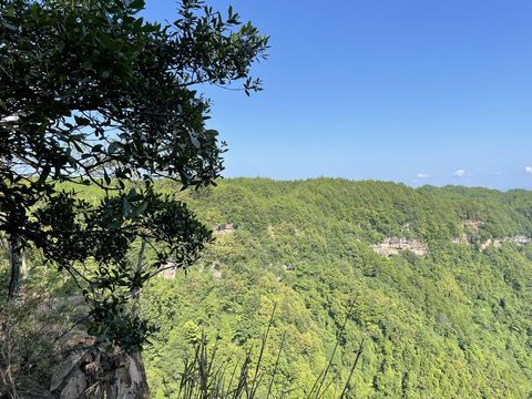 Sanxikou Scenic Area, Cangxi National Forest Park, Sichuan