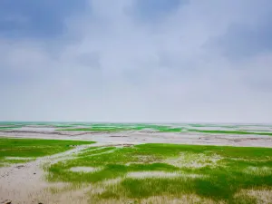 Hangzhou Bay National Wetland Park