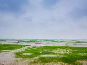 杭州灣國家濕地公園