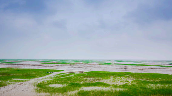 Hangzhou Bay National Wetland Park