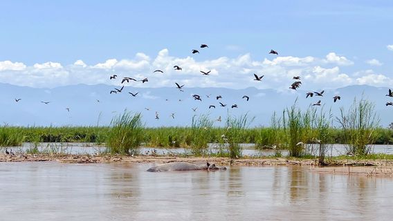 Rusizi National Park