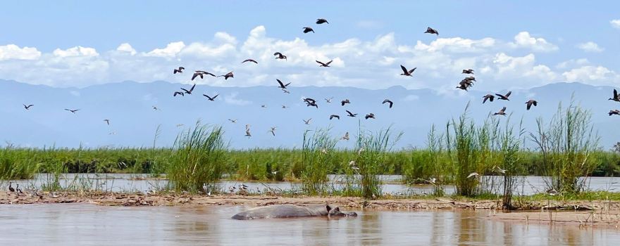 Rusizi National Park