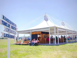 Vuela