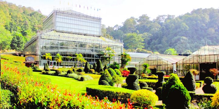 Queen Sirikit Botanic Garden