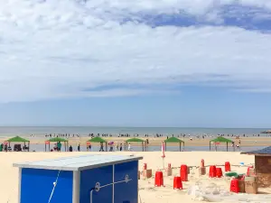 南山海邊沙灘