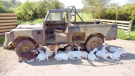 Longdown Activity Farm