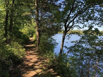 Batona Trail