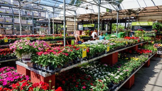 Garden Center at The Home Depot