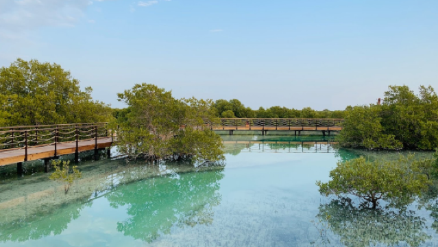 Jubail Mangrove Park