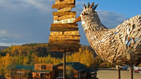 Chicken Gold Camp & Outpost