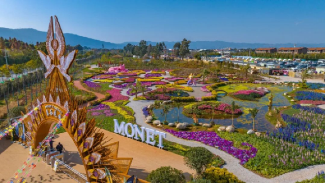 dian jing · qing ai li ( hai hong mo nai hua yuan )