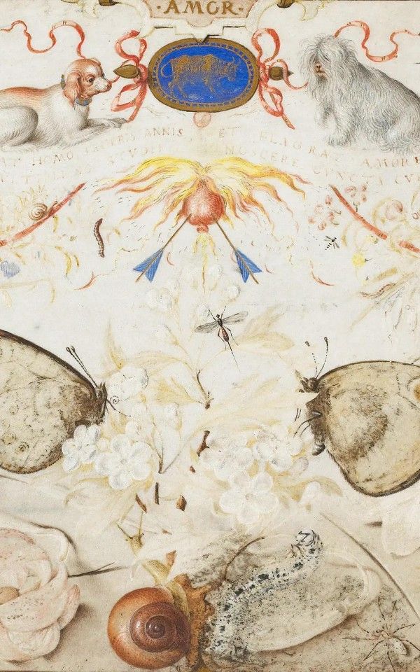 The Experience of NatureArt in Prague at the Court of Rudolf II | Louvre Museum