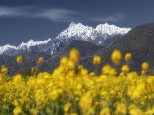 Gaoligongshan National Nature Reserve