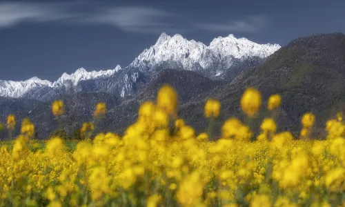 Gaoligongshan National Nature Reserve