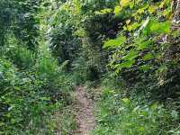 Hike more, worry less