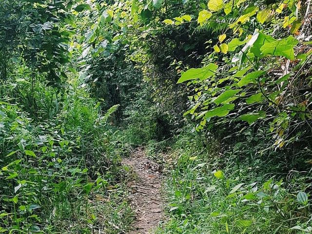 Hike more, worry less