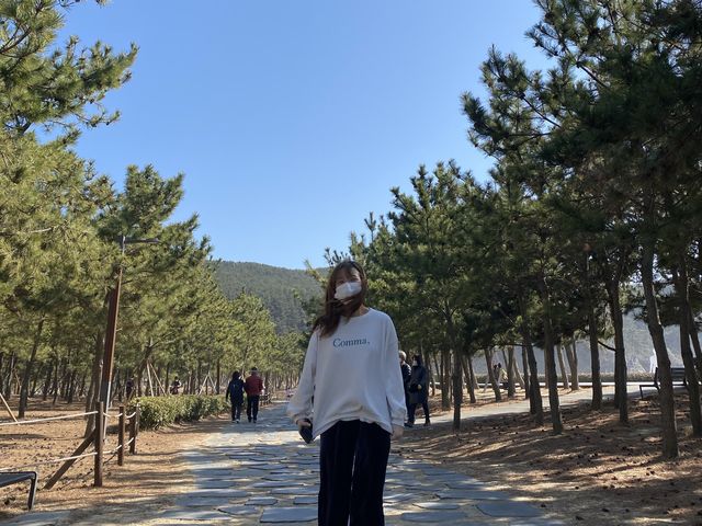 부산 바다가 있는, 다대포 해변공원
