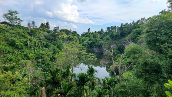 Yangjiao Crystal Mineral Geological Relics