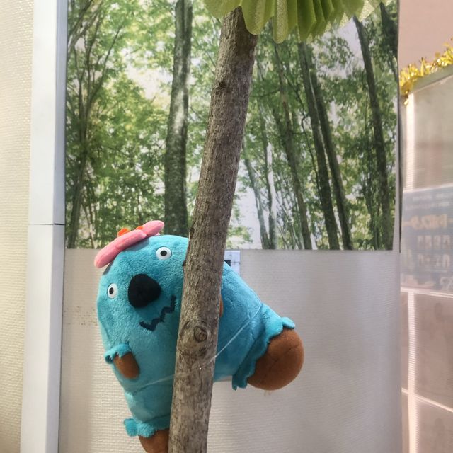 青森駅前散策 青森駅前散策