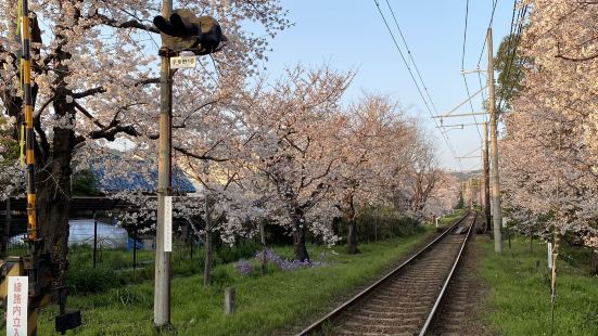 嵐電に乗って見るもよし、近くまで行ってもよし！どこから見ても