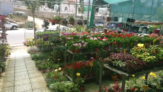 Floraplant