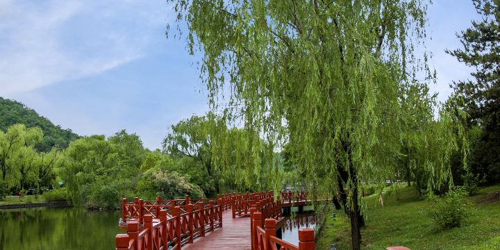 黃帝陵印池公園