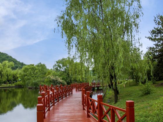 Huangdiling Yinchi Park