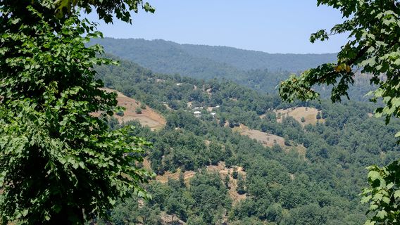 Taishanbeifeng Mountain National Forest Park