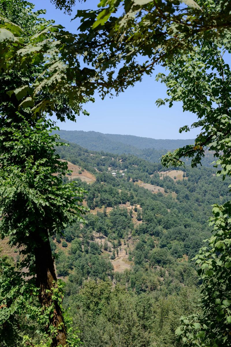 Taishanbeifeng Mountain National Forest Park