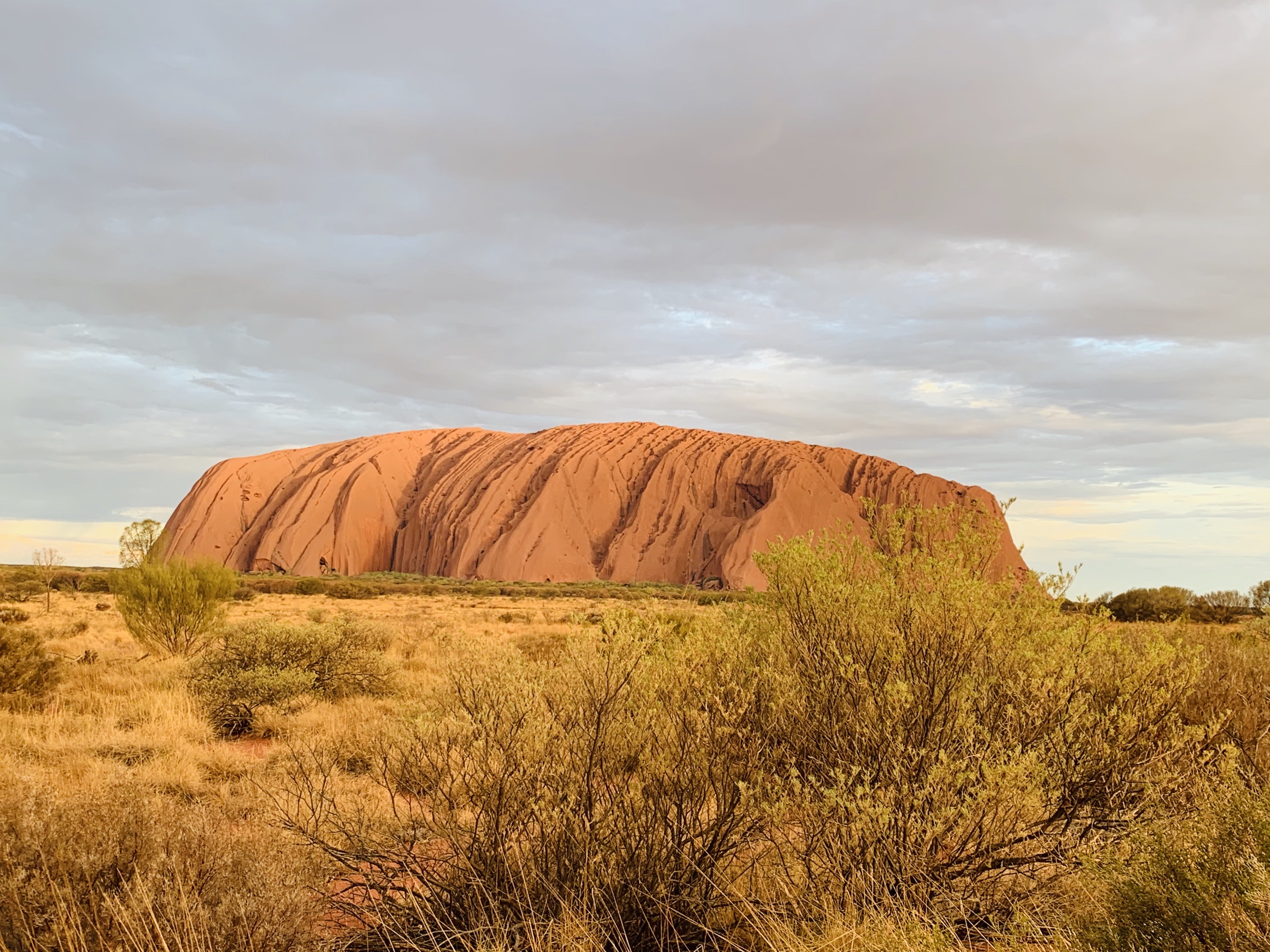 ウルル カタ ジュタ国立公園のレビュー ウルル カタ ジュタ国立公園のチケット ウルル カタ ジュタ国立公園の割引 ウルル カタ ジュタ国立公園の交通機関 所在地 営業時間 ウルル カタ ジュタ国立公園周辺の観光スポット ホテル グルメ Trip Com