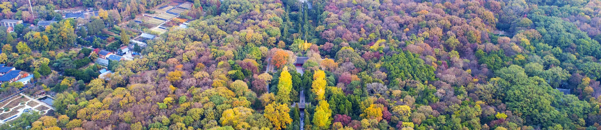 Attrazioni per la visione autunnale