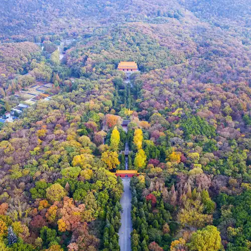 南京 50 大遊賞秋景好去處