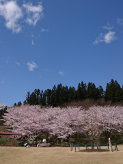 亀ケ城公園