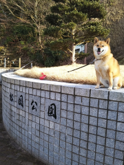 Matsuoka Park