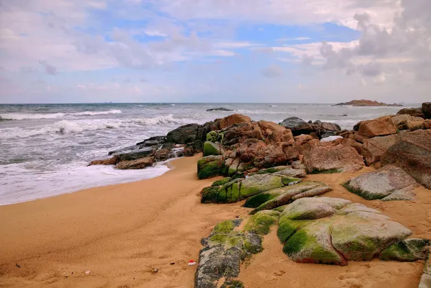 Класс люкс Отели в г. Линшуй