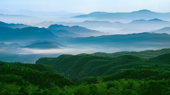 Bowang Mountain