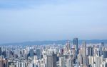 Nanshan Tree Viewing Platform