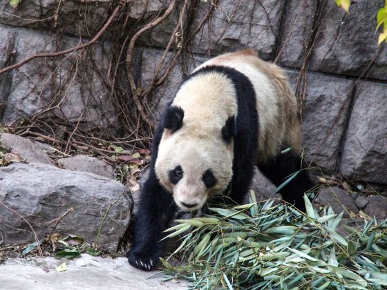 アデレード動物園